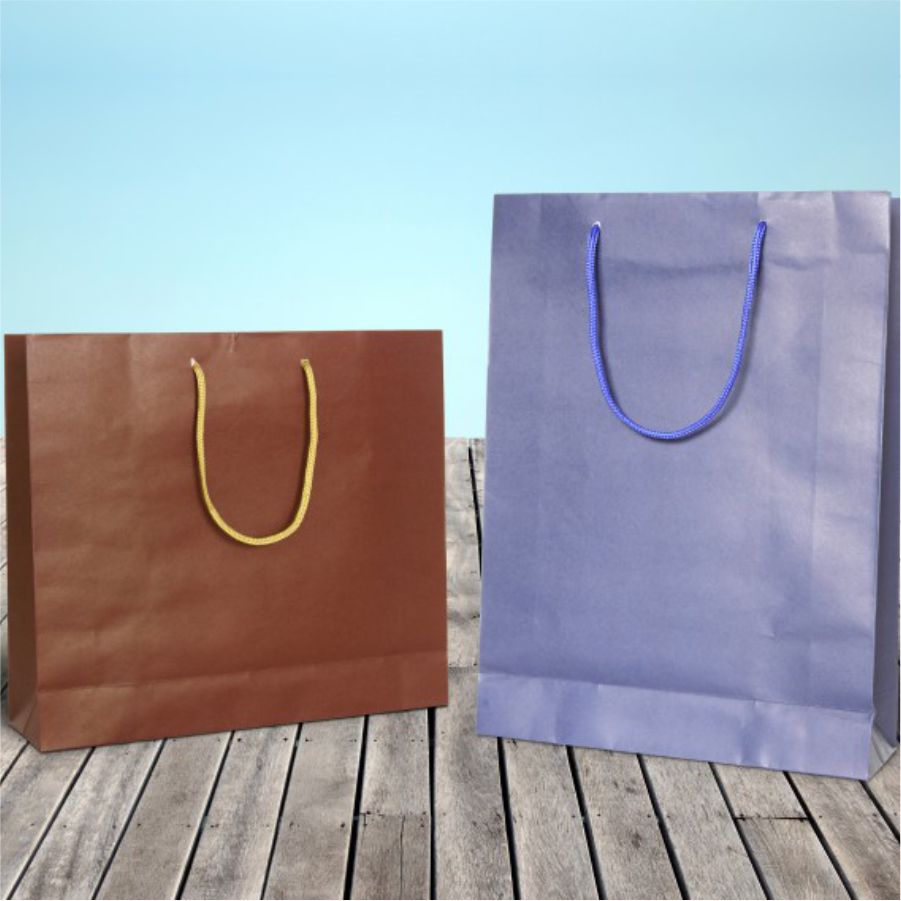 Buy Kraft Paper Shopping Bags With Handle Online | Upack